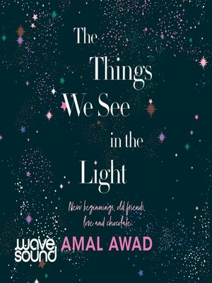 cover image of The Things We See In the Light